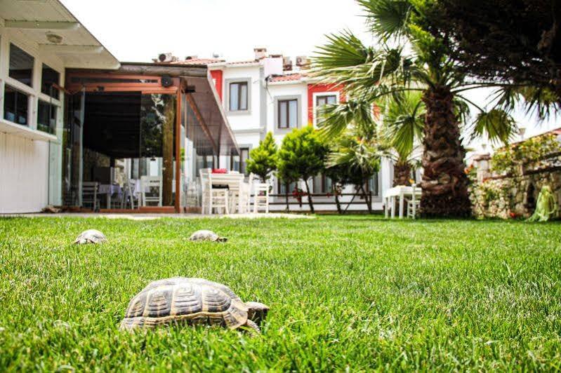 Lavinya Otel Τένεδος Εξωτερικό φωτογραφία